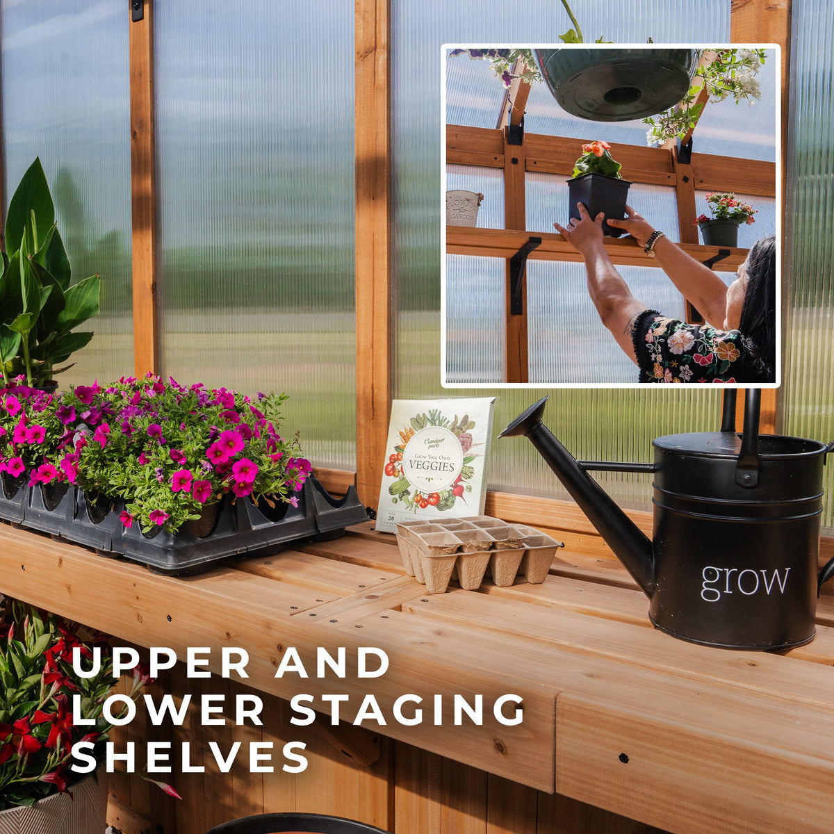 13x11 Bellerose XL Greenhouse