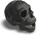 Fire Pit Skull, Metal Skull Fire Log for Halloween Decor